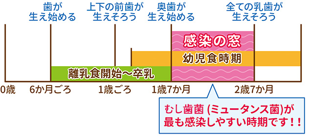 感染の窓イメージ