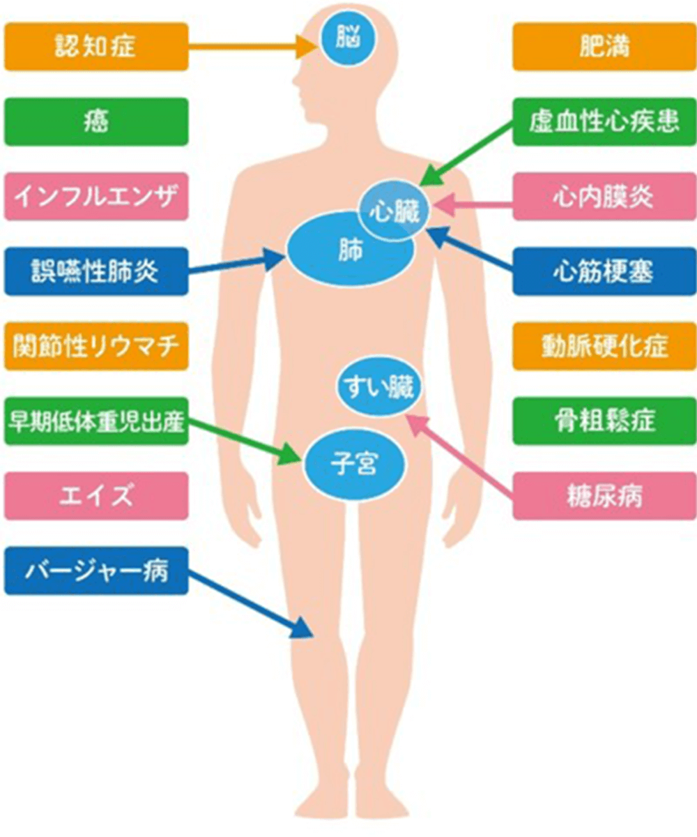 歯周病が招く全身の疾患イメージ