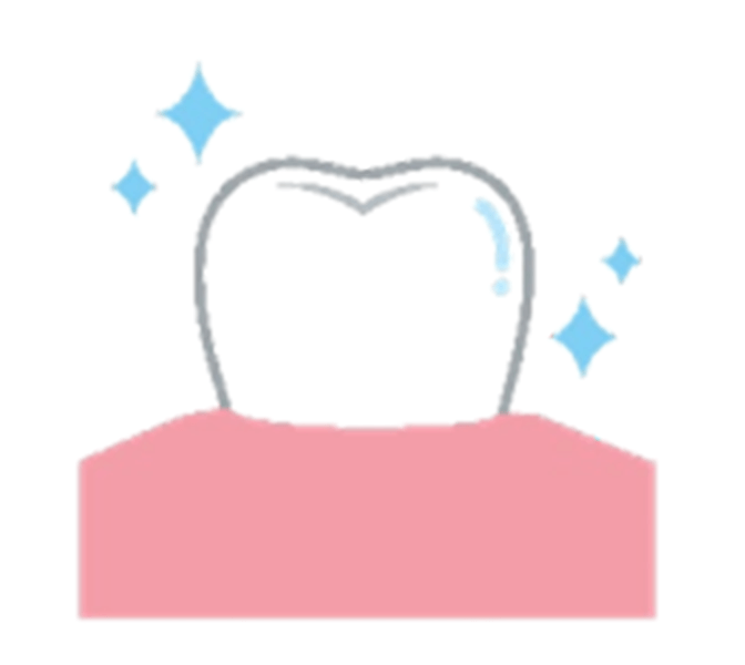 歯の質イメージ